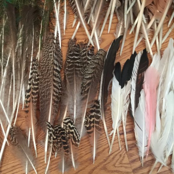 LOT 140 NATURAL PEACOCK BIRD FEATHER BOHO FESTIVAL CRAFT ART HOBBY COSTUME DECOR - Picture 10 of 16